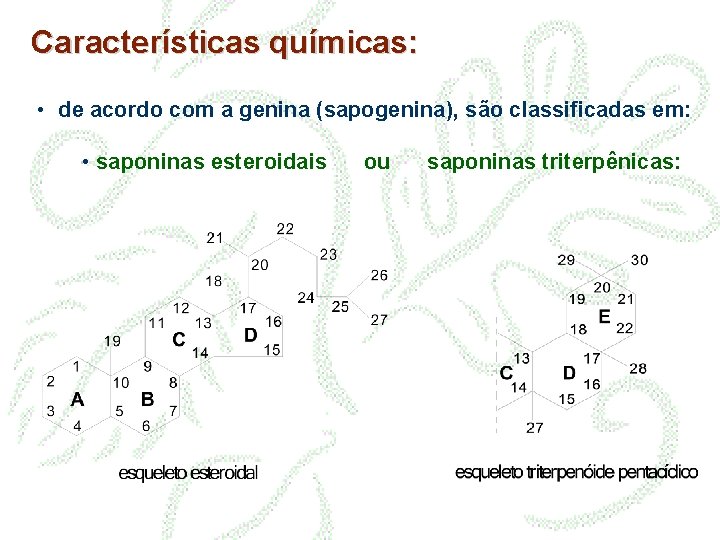 Características químicas: • de acordo com a genina (sapogenina), são classificadas em: • saponinas