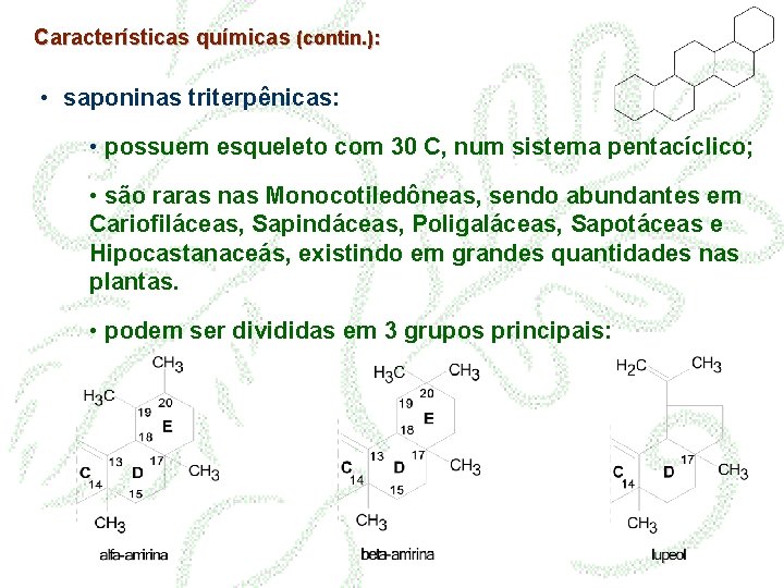 Características químicas (contin. ): • saponinas triterpênicas: • possuem esqueleto com 30 C, num