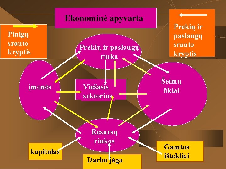 Ekonominė apyvarta Pinigų srauto kryptis įmonės Prekių ir paslaugų rinka Viešasis sektorius Resursų rinkos