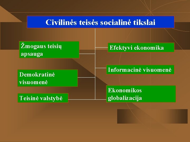 Civilinės teisės socialinė tikslai Žmogaus teisių apsauga Demokratinė visuomenė Teisinė valstybė Efektyvi ekonomika Informacinė