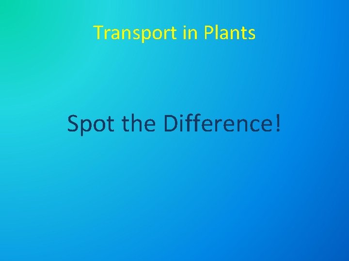 Transport in Plants Spot the Difference! 