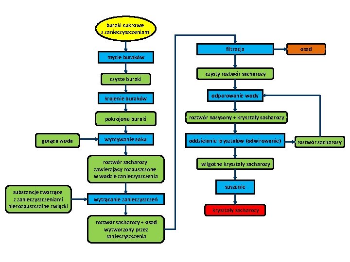buraki cukrowe z zanieczyszczeniami filtracja osad mycie buraków czyste buraki gorąca woda substancje tworzące