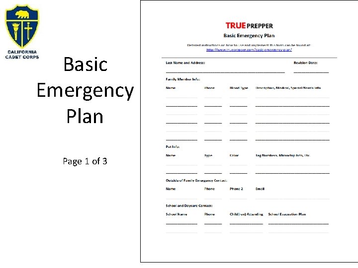 Basic Emergency Plan Page 1 of 3 