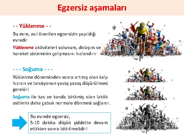 Egzersiz aşamaları - - Yüklenme - Bu evre, asıl önerilen egzersizin yapıldığı evredir Yüklenme