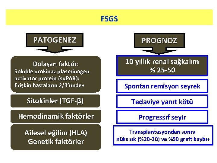 FSGS PATOGENEZ Dolaşan faktör: Soluble urokinaz plasminogen activator protein (su. PAR): Erişkin hastaların 2/3’ünde+