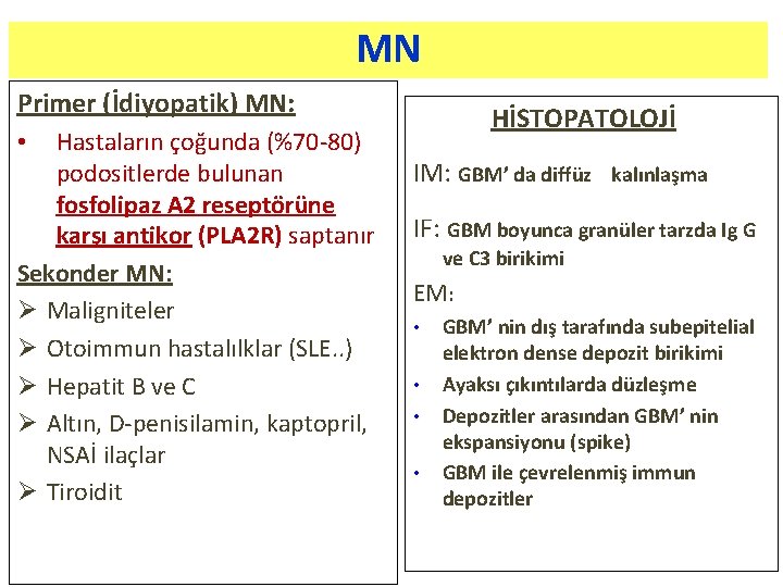 MN Primer (İdiyopatik) MN: Hastaların çoğunda (%70 -80) podositlerde bulunan fosfolipaz A 2 reseptörüne