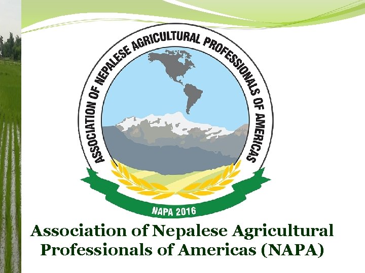 Association of Nepalese Agricultural Professionals of Americas (NAPA) 