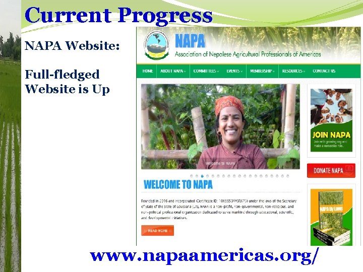 Current Progress NAPA Website: Full-fledged Website is Up www. napaamericas. org/ 