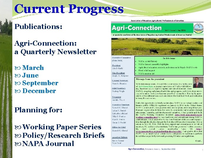 Current Progress Publications: Agri-Connection: a Quarterly Newsletter March June September December Planning for: Working