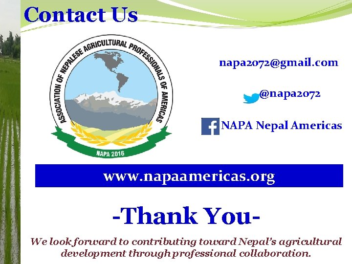 Contact Us napa 2072@gmail. com @napa 2072 NAPA Nepal Americas www. napaamericas. org -Thank