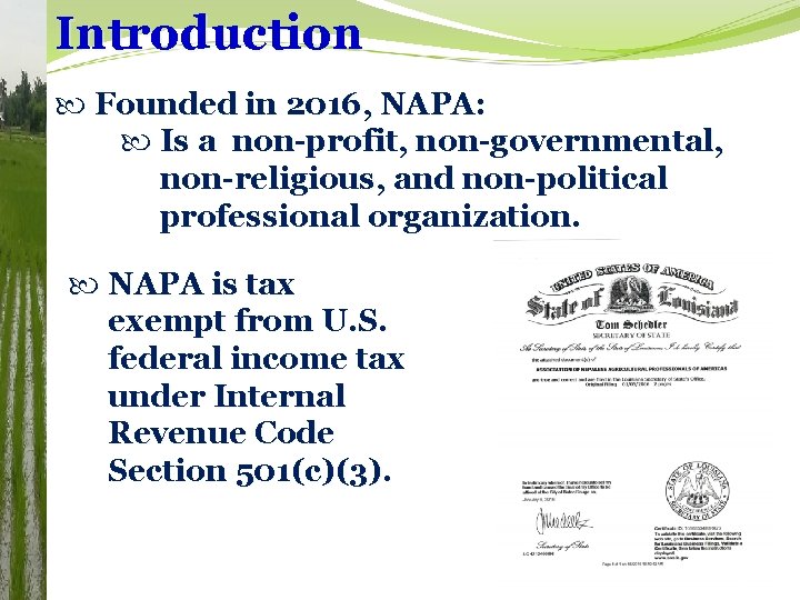 Introduction Founded in 2016, NAPA: Is a non-profit, non-governmental, non-religious, and non-political professional organization.