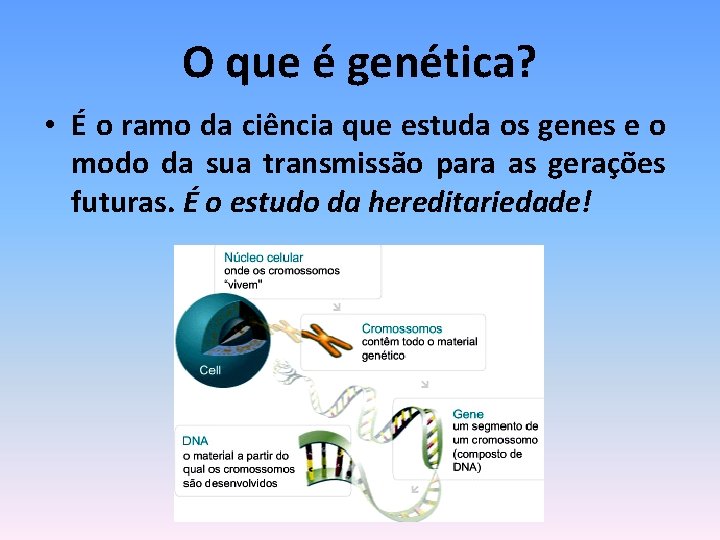 O que é genética? • É o ramo da ciência que estuda os genes