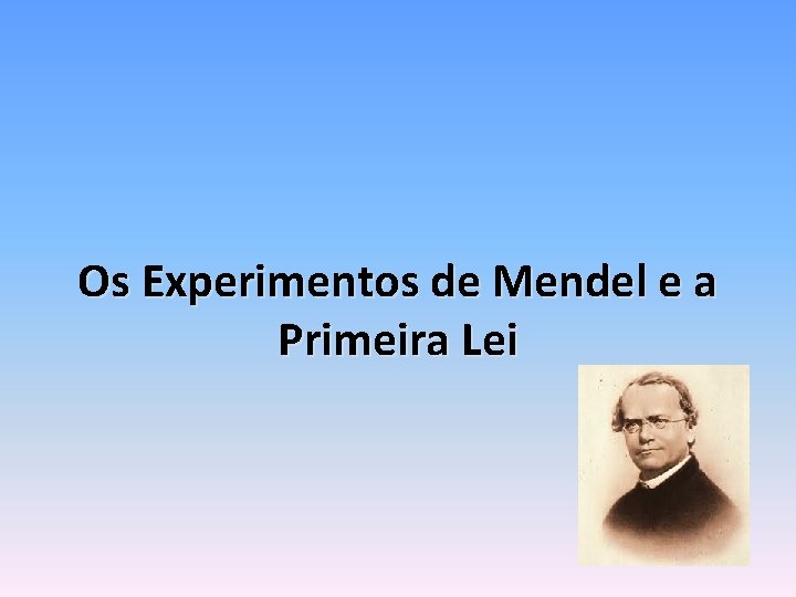 Os Experimentos de Mendel e a Primeira Lei 