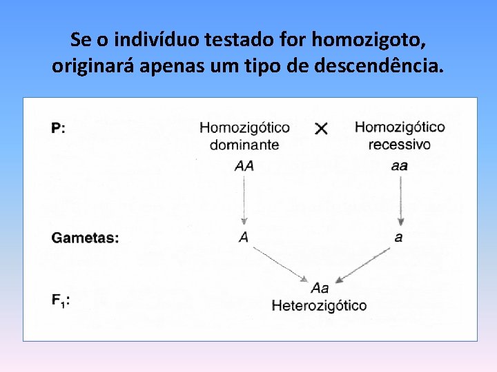 Se o indivíduo testado for homozigoto, originará apenas um tipo de descendência. 