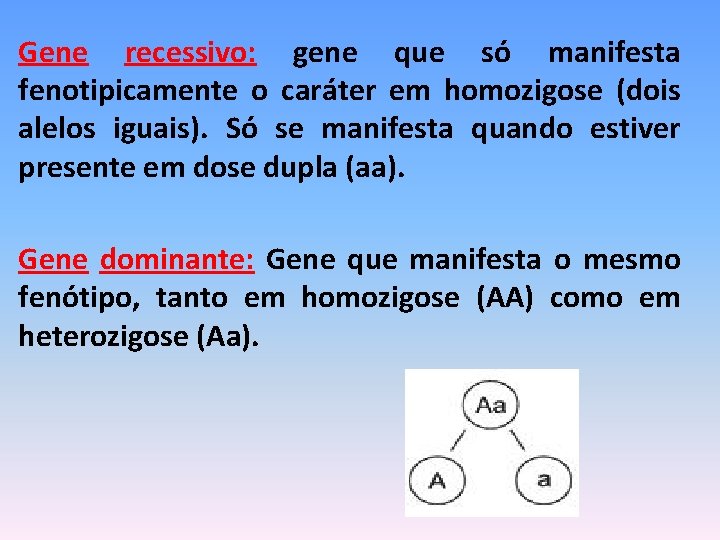 Gene recessivo: gene que só manifesta fenotipicamente o caráter em homozigose (dois alelos iguais).