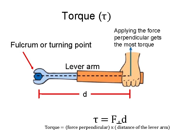 Torque (τ) Applying the force perpendicular gets the most torque Fulcrum or turning point