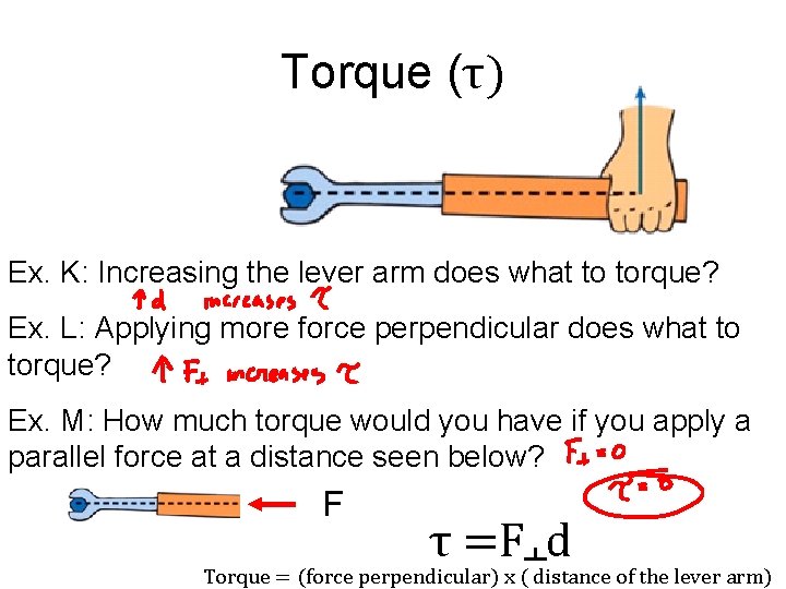 Torque (τ) Ex. K: Increasing the lever arm does what to torque? Ex. L: