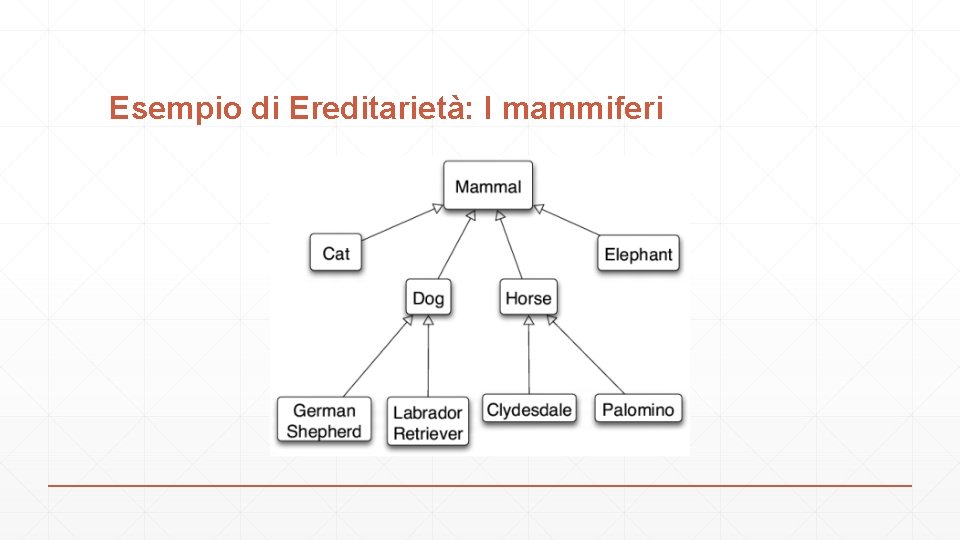 Esempio di Ereditarietà: I mammiferi 