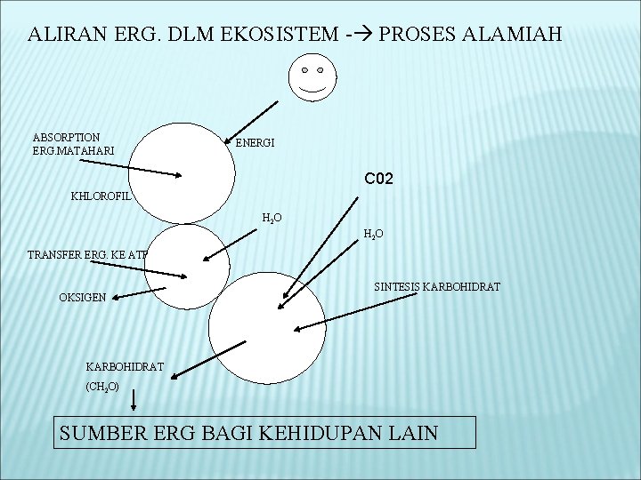 ALIRAN ERG. DLM EKOSISTEM - PROSES ALAMIAH ABSORPTION ERG. MATAHARI ENERGI C 02 KHLOROFIL