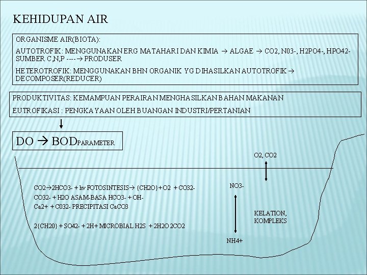 KEHIDUPAN AIR ORGANISME AIR(BIOTA): AUTOTROFIK: MENGGUNAKAN ERG MATAHARI DAN KIMIA ALGAE CO 2, N