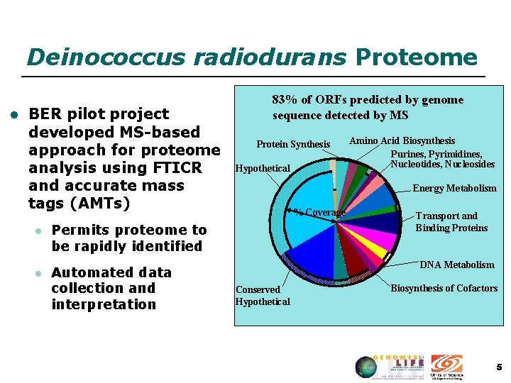 Deinococcus radiodurans Proteome l BER pilot project developed MS-based approach for proteome analysis using