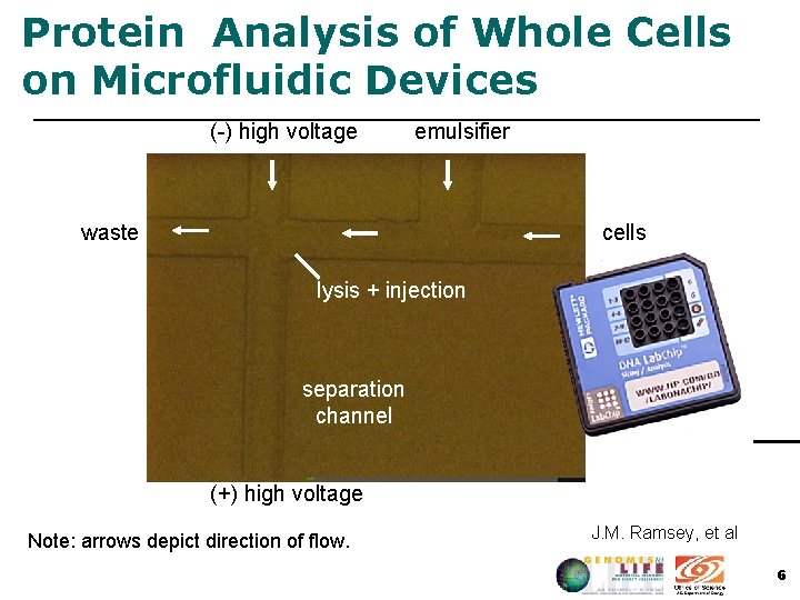 Protein Analysis of Whole Cells on Microfluidic Devices (-) high voltage emulsifier waste cells