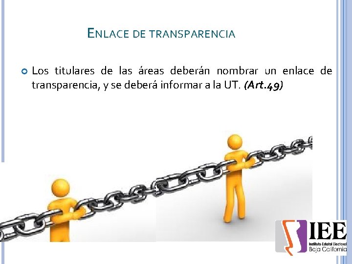 ENLACE DE TRANSPARENCIA Los titulares de las áreas deberán nombrar un enlace de transparencia,