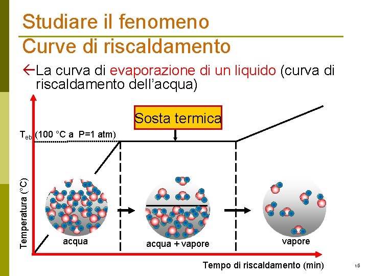 Studiare il fenomeno Curve di riscaldamento ßLa curva di evaporazione di un liquido (curva