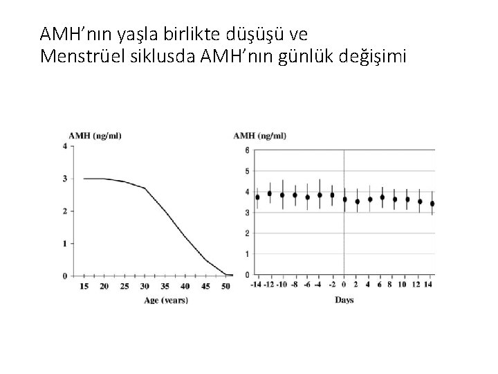 AMH’nın yaşla birlikte düşüşü ve Menstrüel siklusda AMH’nın günlük değişimi 