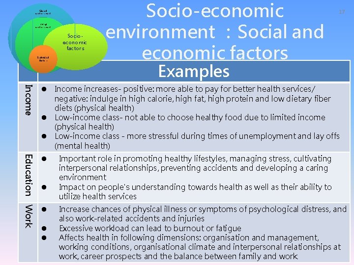Global environment Living environment Socioeconomic factors Individual factors Socio-economic environment ：Social and economic factors