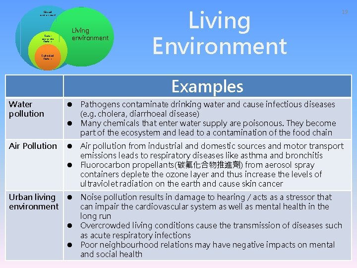 Global environment Socioeconomic factors Individual factors Living environment Living Environment 19 Examples Water pollution