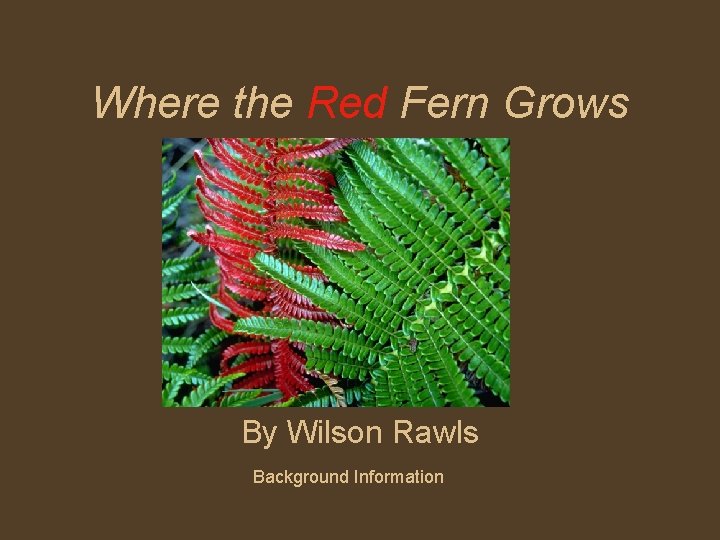 Where the Red Fern Grows By Wilson Rawls Background Information 