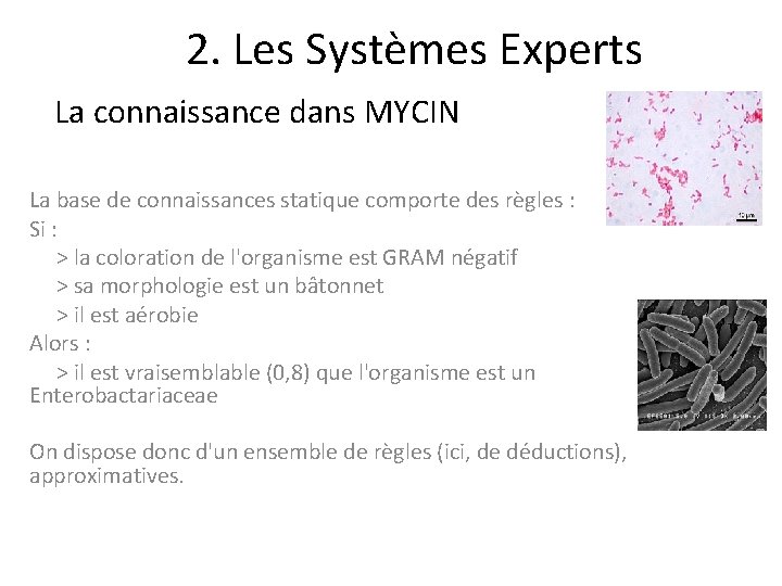2. Les Systèmes Experts La connaissance dans MYCIN La base de connaissances statique comporte