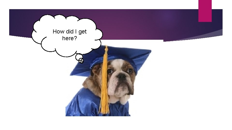 How did I get here? How did I get here?
