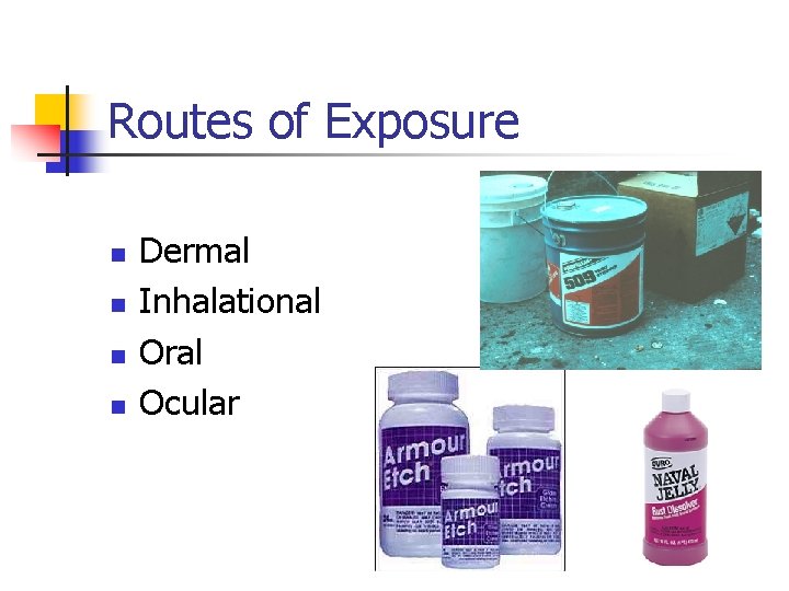 Routes of Exposure n n Dermal Inhalational Oral Ocular 