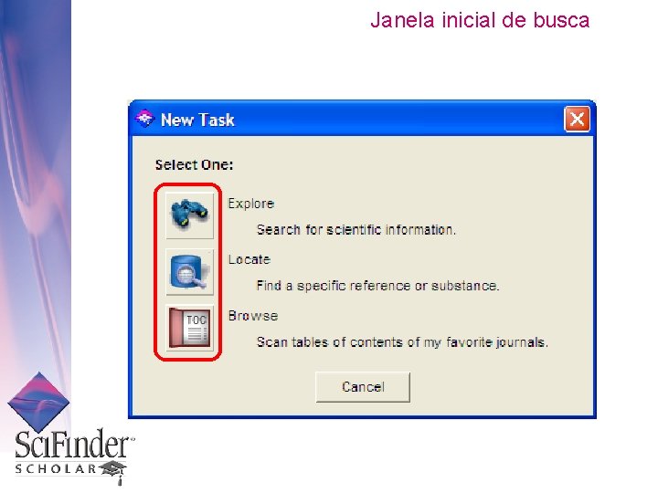 Janela inicial de busca 