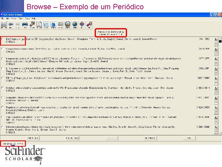 Browse – Exemplo de um Periódico 