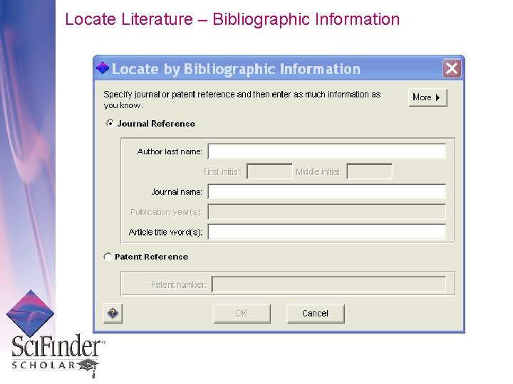 Locate Literature – Bibliographic Information 