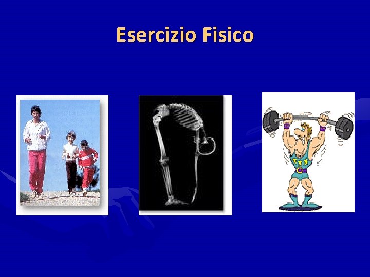 Esercizio Fisico Esercizio Fisico