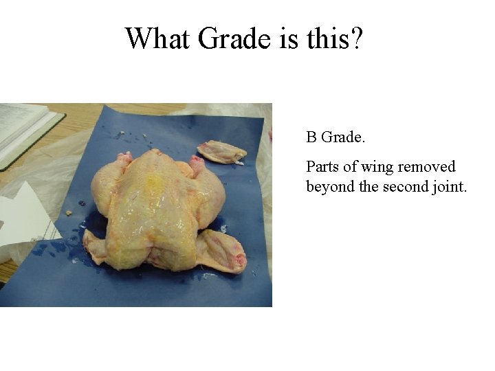 What Grade is this? B Grade. Parts of wing removed beyond the second joint. What Grade is this? B Grade. Parts of wing removed beyond the second joint.