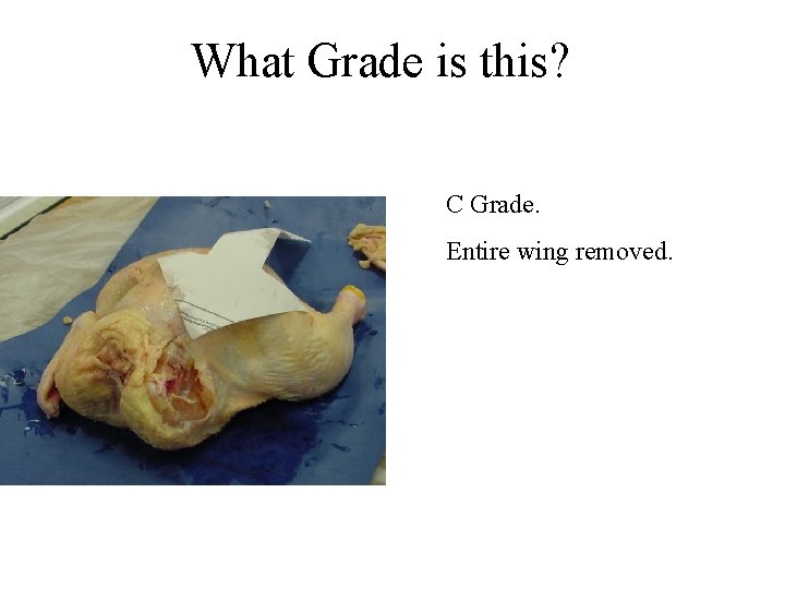 What Grade is this? C Grade. Entire wing removed. What Grade is this? C Grade. Entire wing removed.
