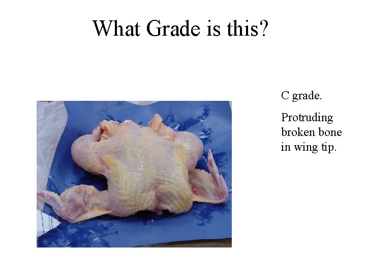 What Grade is this? C grade. Protruding broken bone in wing tip. What Grade is this? C grade. Protruding broken bone in wing tip.