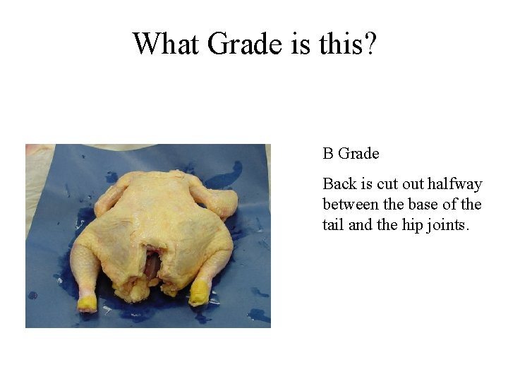 What Grade is this? B Grade Back is cut out halfway between the base What Grade is this? B Grade Back is cut out halfway between the base