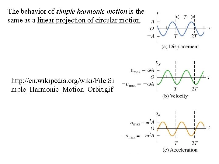 The behavior of simple harmonic motion is the same as a linear projection of