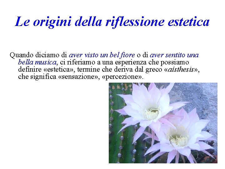 Le origini della riflessione estetica Quando diciamo di aver visto un bel fiore o Le origini della riflessione estetica Quando diciamo di aver visto un bel fiore o
