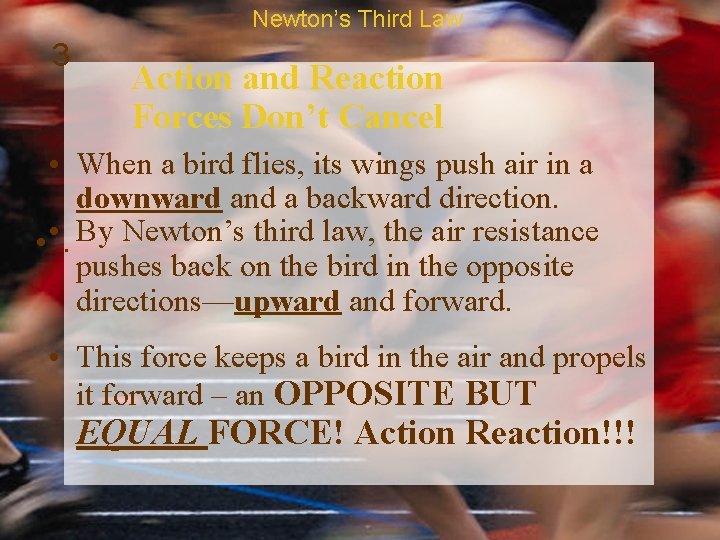 Newton’s Third Law 3 Action and Reaction Forces Don’t Cancel • When a bird
