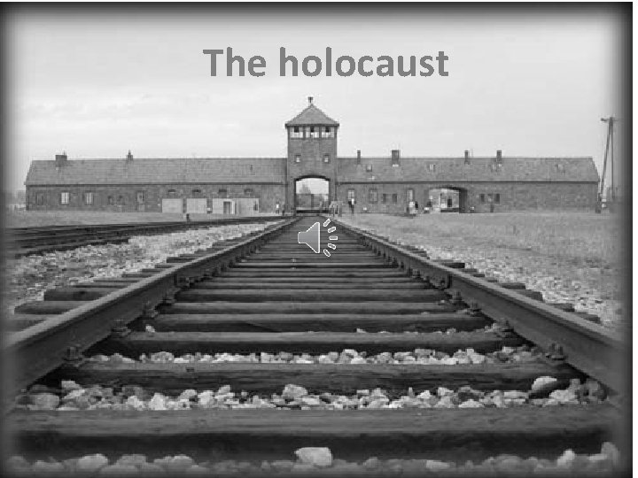 The holocaust 