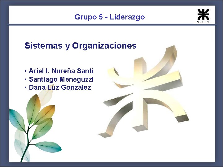 Grupo 5 - Liderazgo Sistemas y Organizaciones • Ariel I. Nureña Santi • Santiago