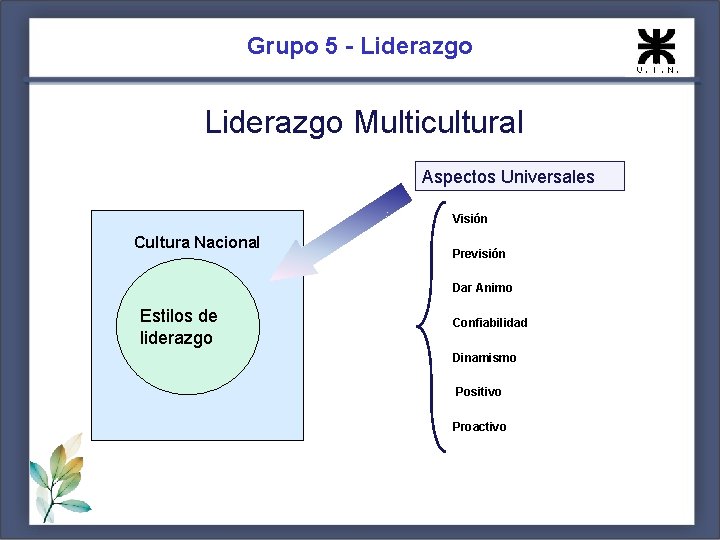 Grupo 5 - Liderazgo Multicultural Aspectos Universales Visión Cultura Nacional Previsión Dar Animo Estilos