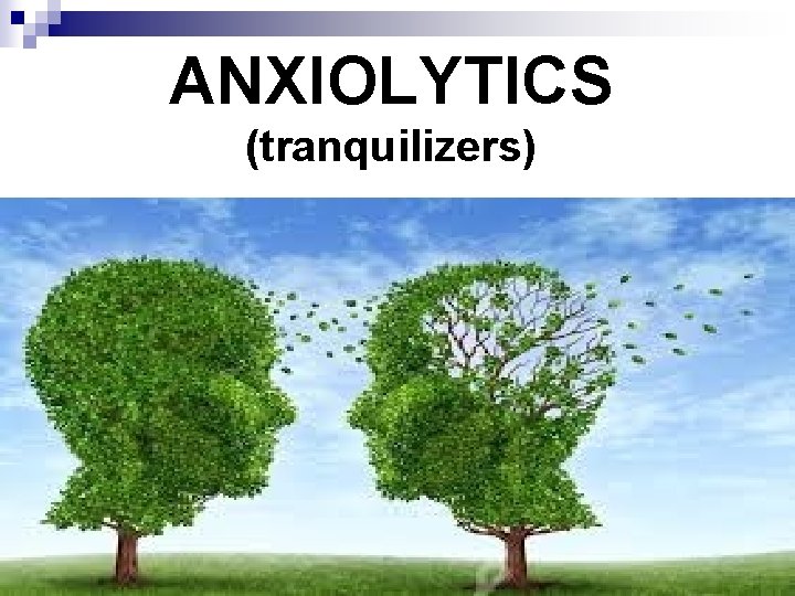 ANXIOLYTICS (tranquilizers) 